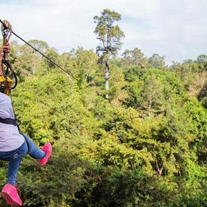 Angkor Zipline, Siem Reap